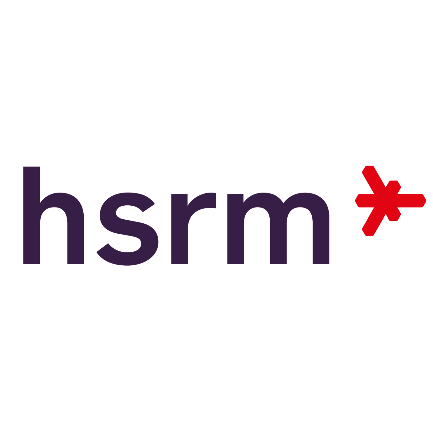 _images/hsrm_logo.png